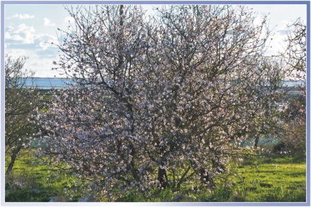 N&auml;chstes Foto