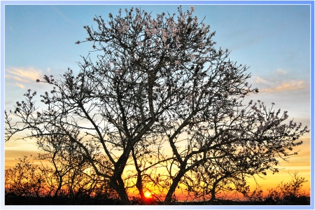 N&auml;chstes Foto